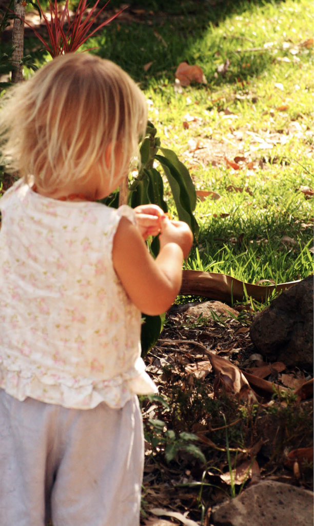 Children can discover so many things to do in nature